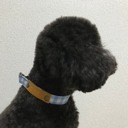 セミオーダーメイド★犬用首輪★名入れ無料★1.5センチ幅 6枚目の画像