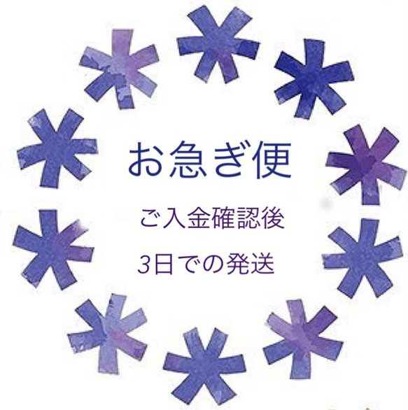 お急ぎ便  ご入金確認後3日での発送 1枚目の画像