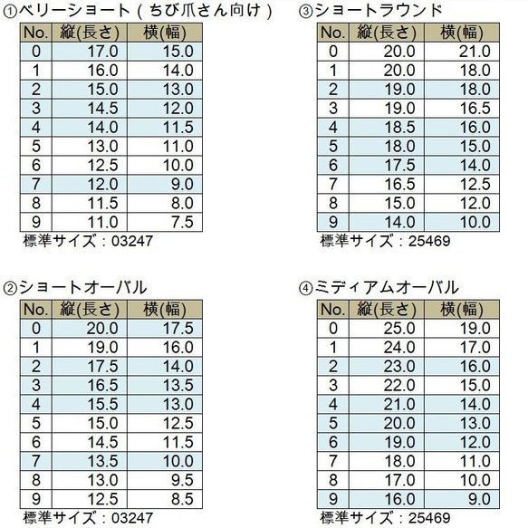  第5張的照片