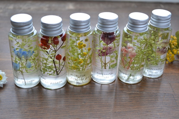 ハーバリウム＊mini6本セット/マメグンバイナズナ春色ナチュラル ハー  