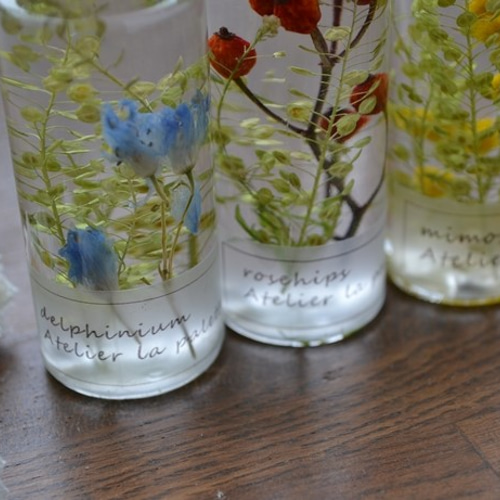 ハーバリウム＊mini6本セット/マメグンバイナズナ春色ナチュラル ハー  