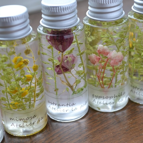 ハーバリウム＊mini6本セット/マメグンバイナズナ春色ナチュラル ハー  