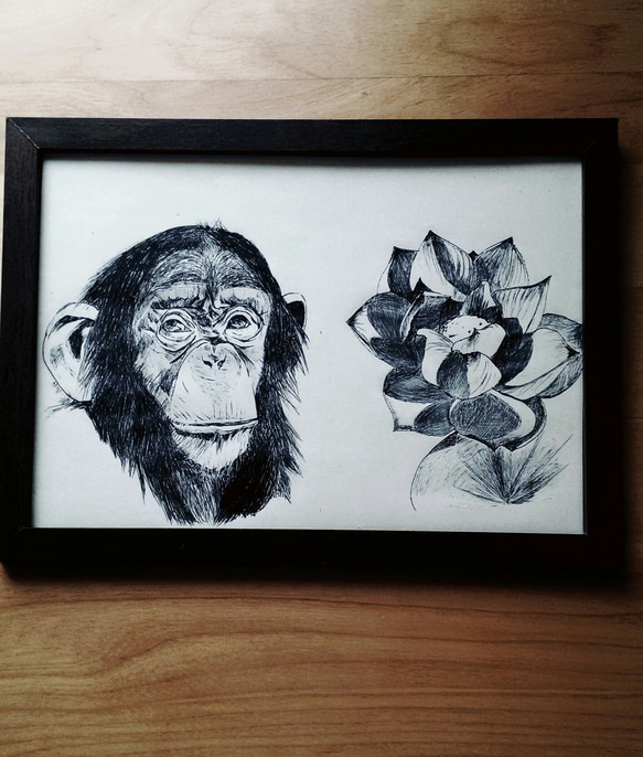 花と動物シリーズ3　チンパンジーとハス 1枚目の画像