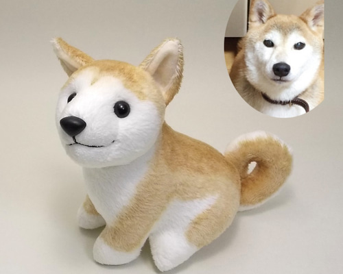 柴犬ぬいぐるみオーダーメイド / しばわんこ 豆しば 紀州犬など