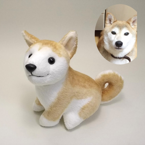 柴犬ぬいぐるみオーダーメイド / しばわんこ 豆しば 紀州犬など 【受注