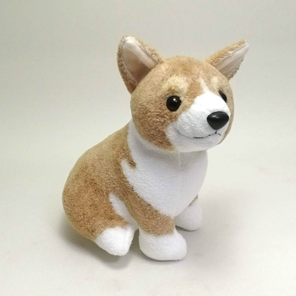 柴犬ぬいぐるみオーダーメイド / しばわんこ　豆しば　紀州犬など 【受注製作】 3枚目の画像