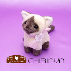 猫ぬいぐるみ「ちびにゃ」シャムネコ 【受注製作】 ぬいぐるみ