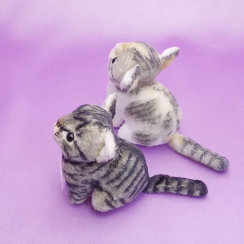 Coonyさん✖️ファミマのにゃんこトートバッグ買えました