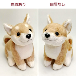 柴犬ぬいぐるみ / 赤柴・白柴・黒柴 / しばわんこ　豆しば 【受注製作】 4枚目の画像