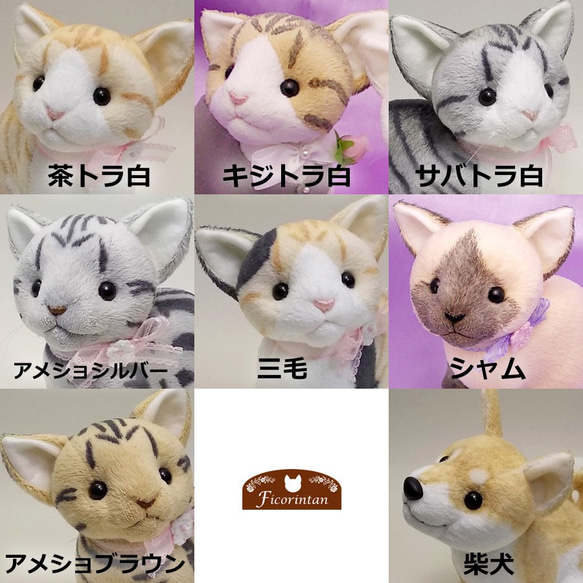 和装ウェディングキャット　ねこにゃ選べる猫種セレクト 【受注製作】　ウェルカムキャット　和風 3枚目の画像