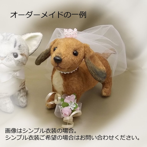 ウェルカムドッグ新婦・ミニチュアダックスフンド / カラー選べる