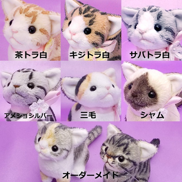 ちびにゃ選べる☆ミニウェディングキャット☆猫種セレクト 【受注製作】 4枚目の画像