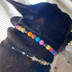小型犬　猫ちゃん用　ヘマタイトネックレス　カラフル　健康癒しグッズ　 8枚目の画像
