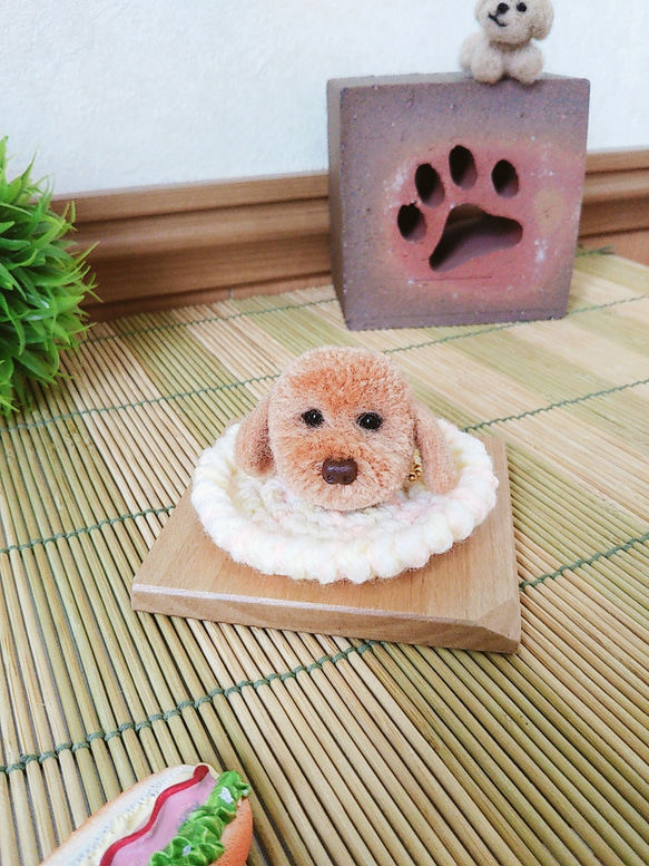 犬ポンポン  キーホルダー   アプリコットトイプードル 4枚目の画像