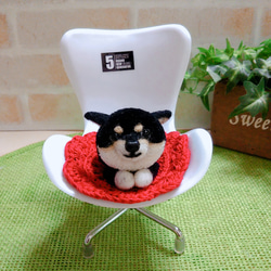 黒柴犬ポンポン  「ここは私の優先座席だぁ!!(*´罒`*)」 1枚目の画像
