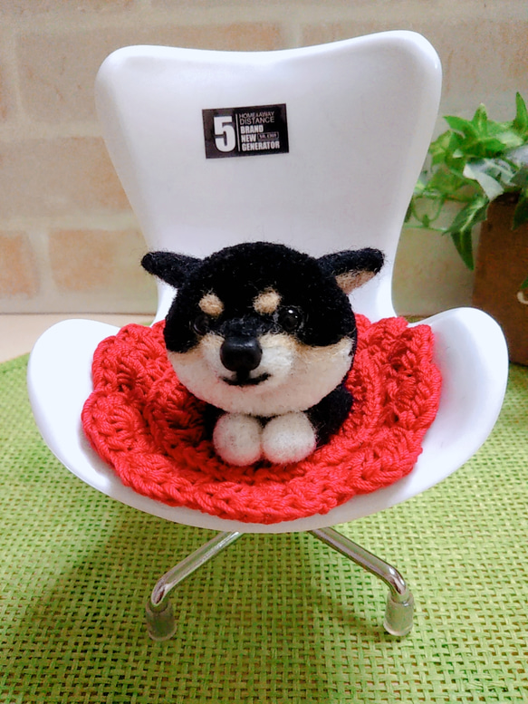 黒柴犬ポンポン  「ここは私の優先座席だぁ!!(*´罒`*)」 2枚目の画像