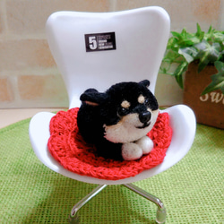 黒柴犬ポンポン  「ここは私の優先座席だぁ!!(*´罒`*)」 3枚目の画像