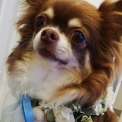 0_eb4261d30f1c02e197ea033e2827