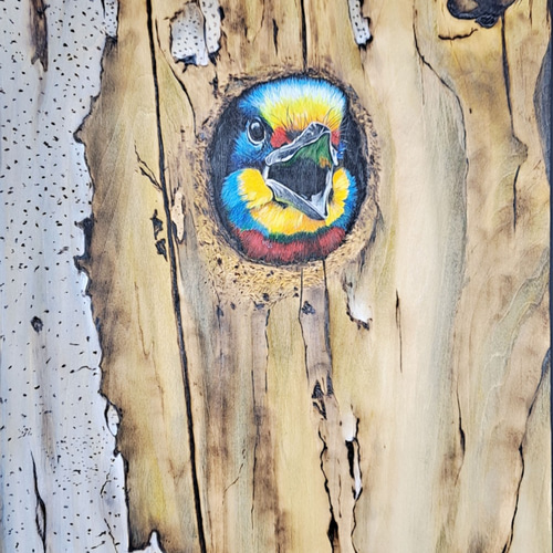 5色の鳥のアクリル画燃える焼き絵オリジナルの吊り絵 絵画 YNPW 通販 