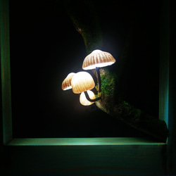 框 茶樹 蘑菇燈 #仿真蘑菇燈 #蘑菇小夜燈 #情境燈 #療癒蘑菇燈 #蕈菇燈 #造型燈#創意燈  #擺飾 #禮品 第6張的照片