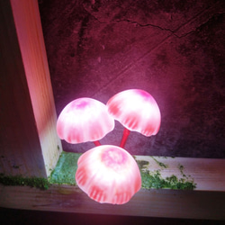 Box Tea Tree Mushroom Light＃仿真仿真仿真仿真仿真仿真仿真 6枚目の画像