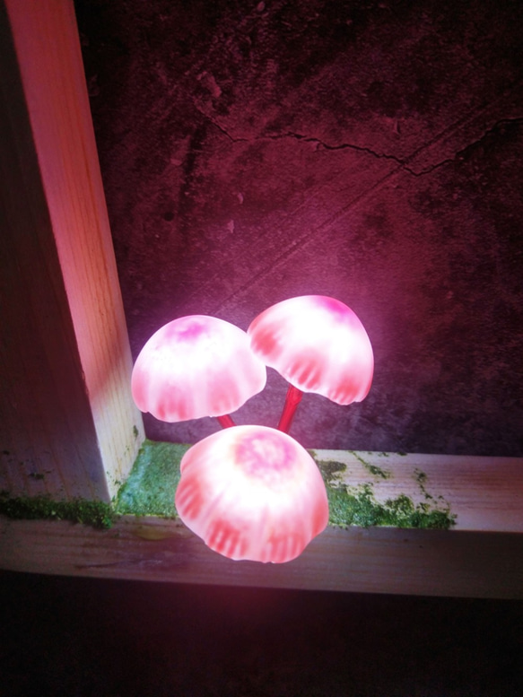 Box Tea Tree Mushroom Light＃仿真仿真仿真仿真仿真仿真仿真 6枚目の画像