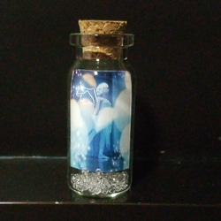 picture bottle 1 2枚目の画像