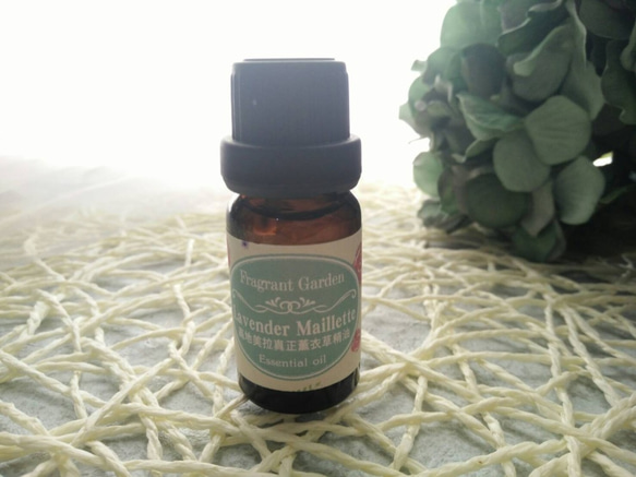 《香氛花園》高地美拉真正薰衣草精油 5ml/瓶   Lavender Maillette essential oil 第1張的照片