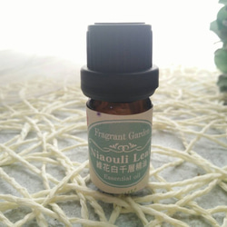 《香氛花園》綠花白千層精油 10ml/瓶   Niaouli Leaf essential oil 第1張的照片