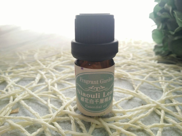 《香氛花園》綠花白千層精油 10ml/瓶   Niaouli Leaf essential oil 第1張的照片