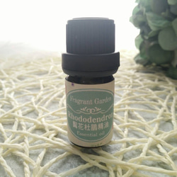 《香氛花園》髯花杜鵑精油 10ml/瓶   Rhodoendron essential oil 第1張的照片