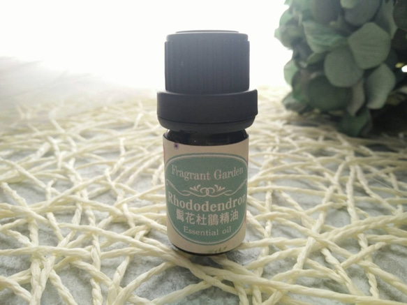 《香氛花園》髯花杜鵑精油 10ml/瓶   Rhodoendron essential oil 第1張的照片