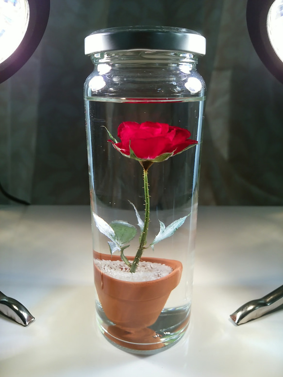 【受注後生産】ハンドメイド・バラ一輪（レッド）＋植木鉢。植物の自然色を残した原色ハーバリウム。A 3枚目の画像