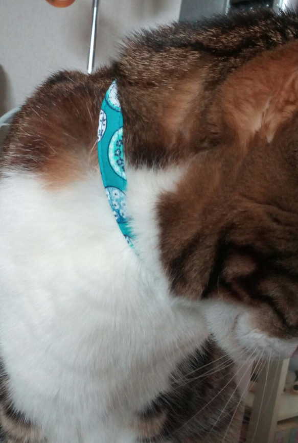 取り外せるバンダナスカーフタイプの猫ちゃん用首輪　ブルーのカトラリー柄のバンダナスカーフ 2枚目の画像