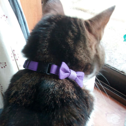 【受注製作】くすみカラーのリボンの猫ちゃん用首輪　紫色 1枚目の画像