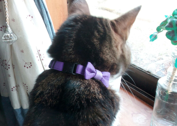 【受注製作】くすみカラーのリボンの猫ちゃん用首輪　紫色 1枚目の画像