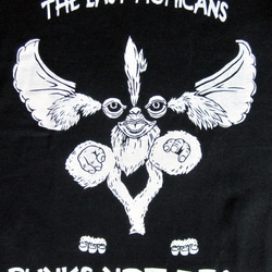 THE LAST MOHICANS TEE 2枚目の画像