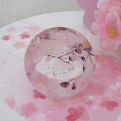 桜  円型 ＬＥＤアロマキャンドル 2枚目の画像