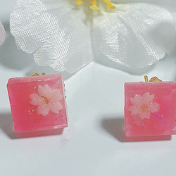 【樹脂】桜ピアスorイヤリング〜春〜 2枚目の画像
