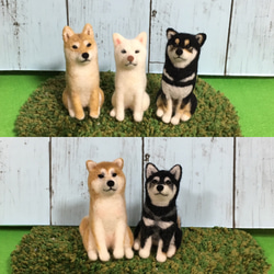 【受注制作S】羊毛フェルト 柴犬　犬　ミニサイズ ペット作ります オーダーメイド　愛犬　羊毛フエルト 5枚目の画像