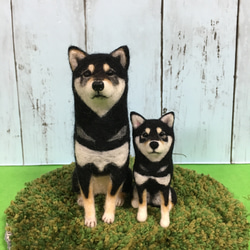 【受注制作S】羊毛フェルト 柴犬　犬　ミニサイズ ペット作ります オーダーメイド　愛犬　羊毛フエルト 6枚目の画像