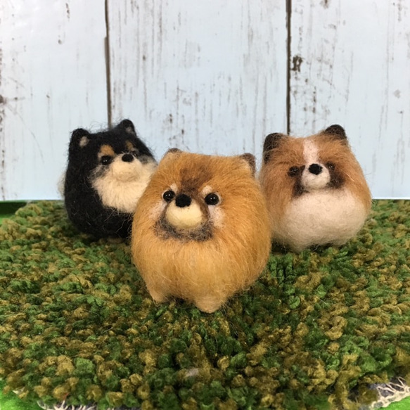 羊毛フェルト　ベビーフェイスなポメラニアン 羊毛フェルト ベビーフェイスなポメちゃん ポメラニアン 受注
