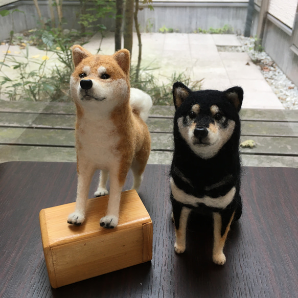 【受注制作】羊毛フェルト　柴犬　犬　ペット作ります オーダーメイド　愛犬　羊毛フエルト 1枚目の画像