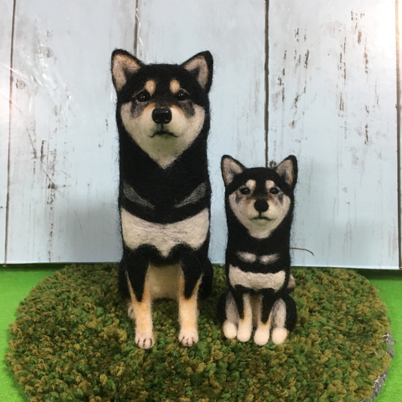 羊毛フェルト 豆柴 柴犬 黒柴 犬 芝生 ハンドメイド
