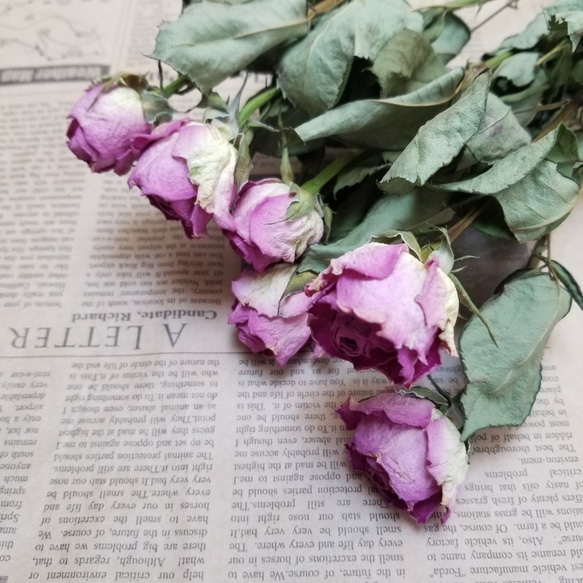 [再販]✨薔薇のスワッグ&アロマワックスサシェ　ペア(福袋) 2枚目の画像