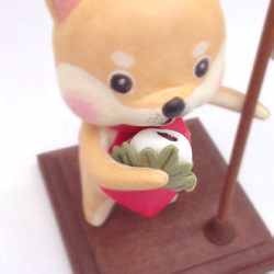 五月人形☆2014 柴犬さん 3枚目の画像