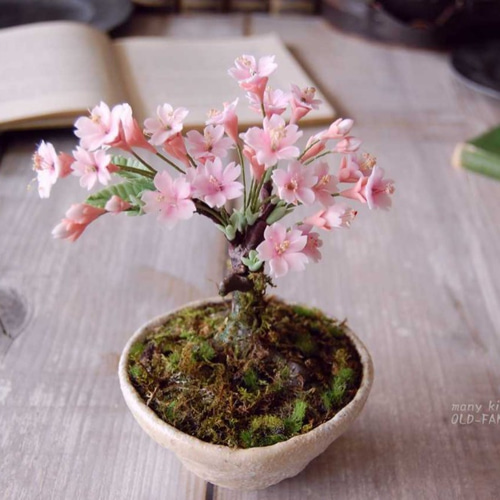 40 パウチ　　　桜 初桜 2段 重箱 熨斗OK 桜型 7.5寸 [10841] - タベルニー お弁当