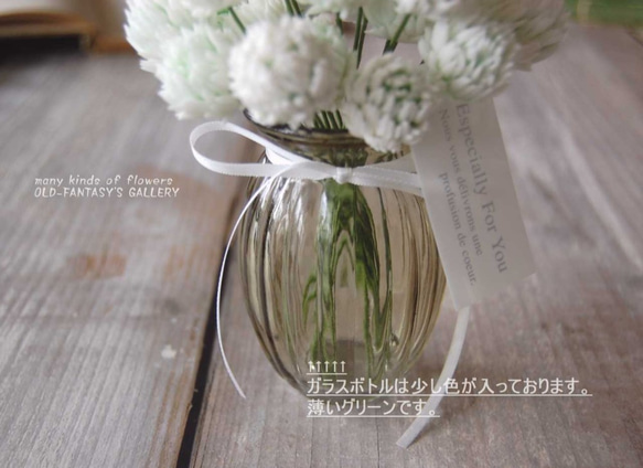 お花いっぱい！　シロツメクサ　アナイスグラス 　…S494 5枚目の画像