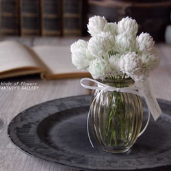 お花いっぱい！　シロツメクサ　アナイスグラス 　…S494 8枚目の画像