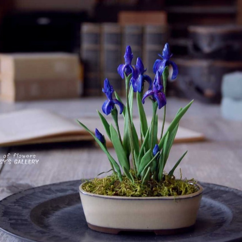 日光彫 小引き出し 牡丹 菖蒲 あやめ 工芸 日光彫 小引き出し 牡丹